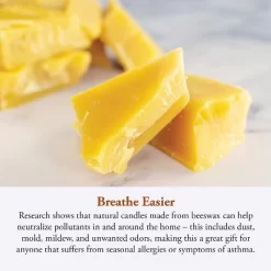 Candle By The Hour 60-Hour Candle Refill, Eco-friendly Natural Beeswax With Cotton Wick 7 Candle By The Hour 60-Hour Candle Refill, Eco-friendly Natural Beeswax With Cotton Wick -Home Decor Store GUEST 1be736d2 98df 44a4 a9c7 7790105f7a35