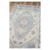 Anatolia Riggs Area Rug - Momeni