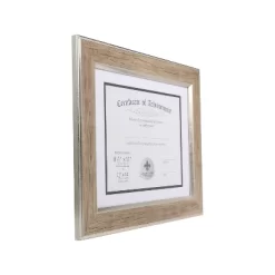 Lawrence Frames Polyurethane Document Frame Natural/Silver 189211