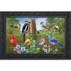 Briarwood Lane Country Birds Spring Doormat Finch Blue Jay Cardinal Indoor Outdoor 30" X 18"