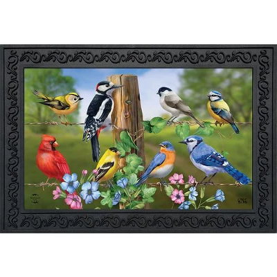 Briarwood Lane Country Birds Spring Doormat Finch Blue Jay Cardinal Indoor Outdoor 30" X 18" 2 Briarwood Lane Country Birds Spring Doormat Finch Blue Jay Cardinal Indoor Outdoor 30" X 18"