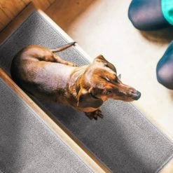 Sussexhome Carpet Stair Treads Pre-applied Double Sided Tape 15 Sussexhome Carpet Stair Treads Pre-applied Double Sided Tape -Home Decor Store GUEST 83e09d4b 7f57 4076 b23f 8e079e2fa06b