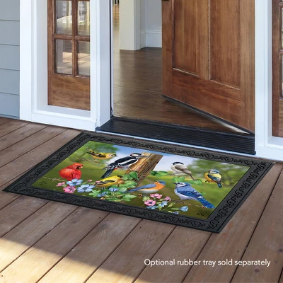 Briarwood Lane Country Birds Spring Doormat Finch Blue Jay Cardinal Indoor Outdoor 30" X 18" 3 Briarwood Lane Country Birds Spring Doormat Finch Blue Jay Cardinal Indoor Outdoor 30" X 18" - Image 2